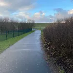 Direkt Am Deich *