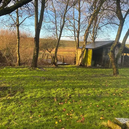 Direkt Am Deich Wurster Nordseekuste