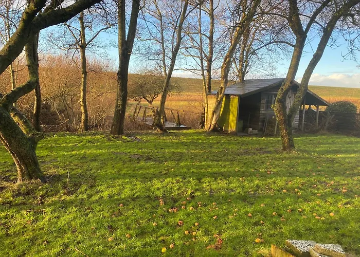Direkt Am Deich Wurster Nordseekuste